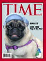 Pug of the Year